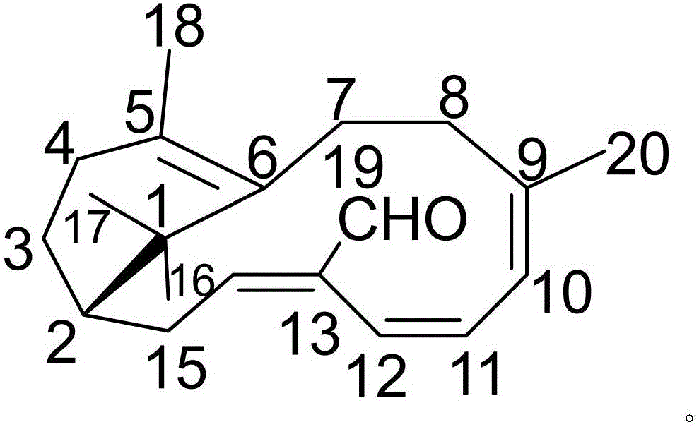 Pharmaceutical composition of etodolac and medical application thereof