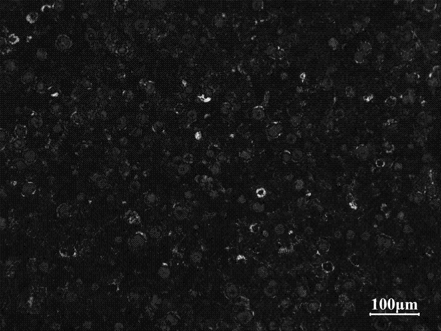 High-strength low stress cast nodular cast iron with high elasticity modulus and manufacturing method thereof