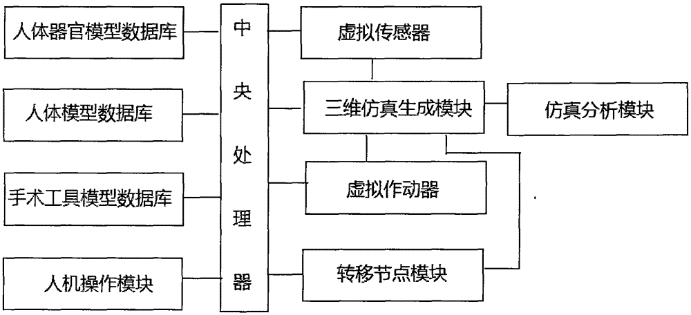 Human anatomy teaching system