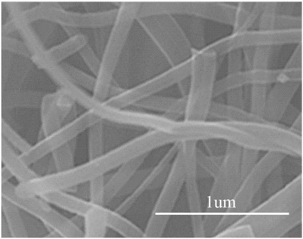 Preparation method and application of self-support flexible electrode