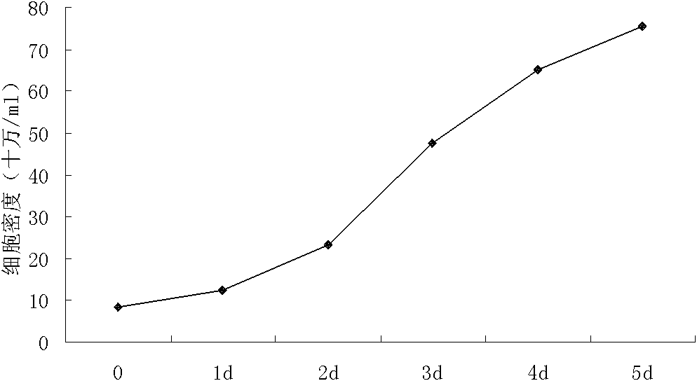 Method for industrially producing swine fever live vaccine by using bioreactor