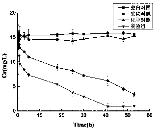 A method for promoting reduction of chromium by dissimilating iron reducing bacteria by taking pyrite as electron shuttle carrier