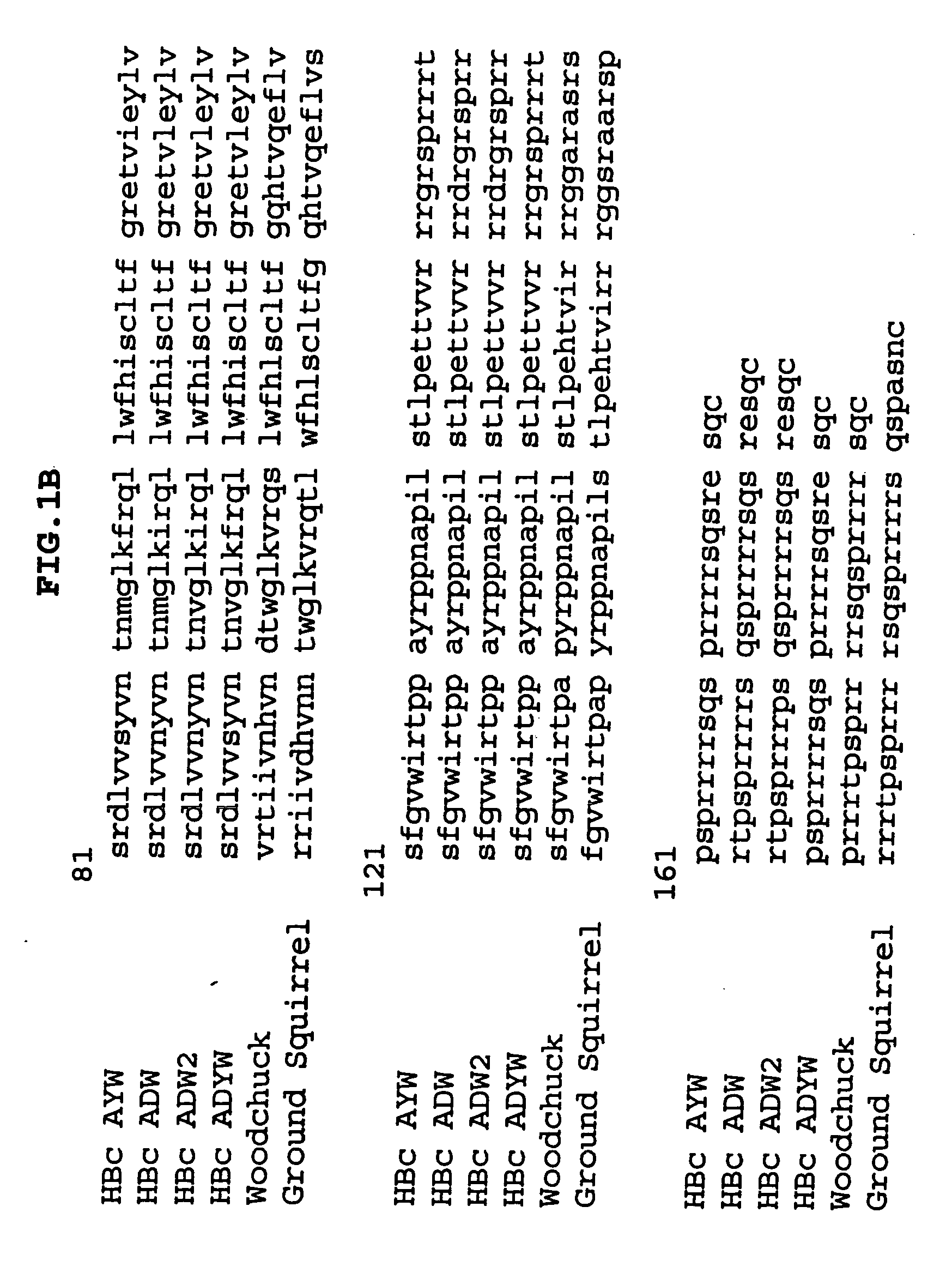 Influenza immunogen and vaccine