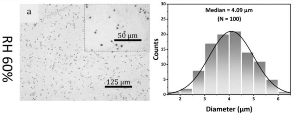 Rough substrate for smooth porous surface perfused with lubricating fluid, smooth porous surface perfused with lubricating fluid and preparation method thereof