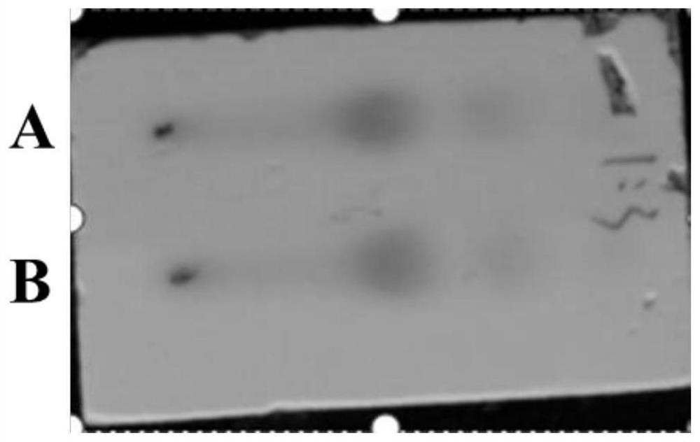 Secondary metabolite of gingko endophytic fungus Nigrospora sphaerica and antibacterial application of secondary metabolite