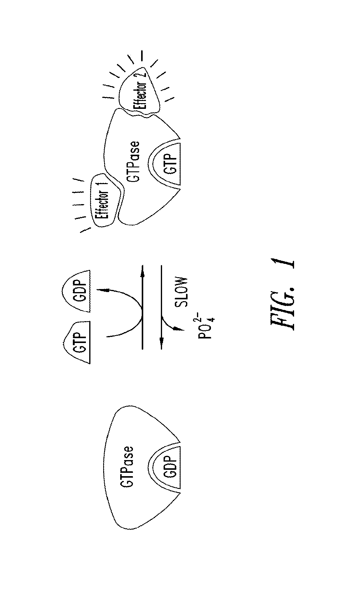 Inhibitors of KRAS G12C mutant proteins