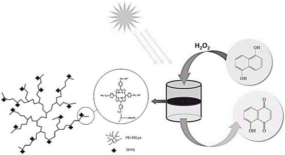 Water-soluble porphyrin sulfonate-hyperbranched polymer two-phase composite catalyst and preparation and application thereof