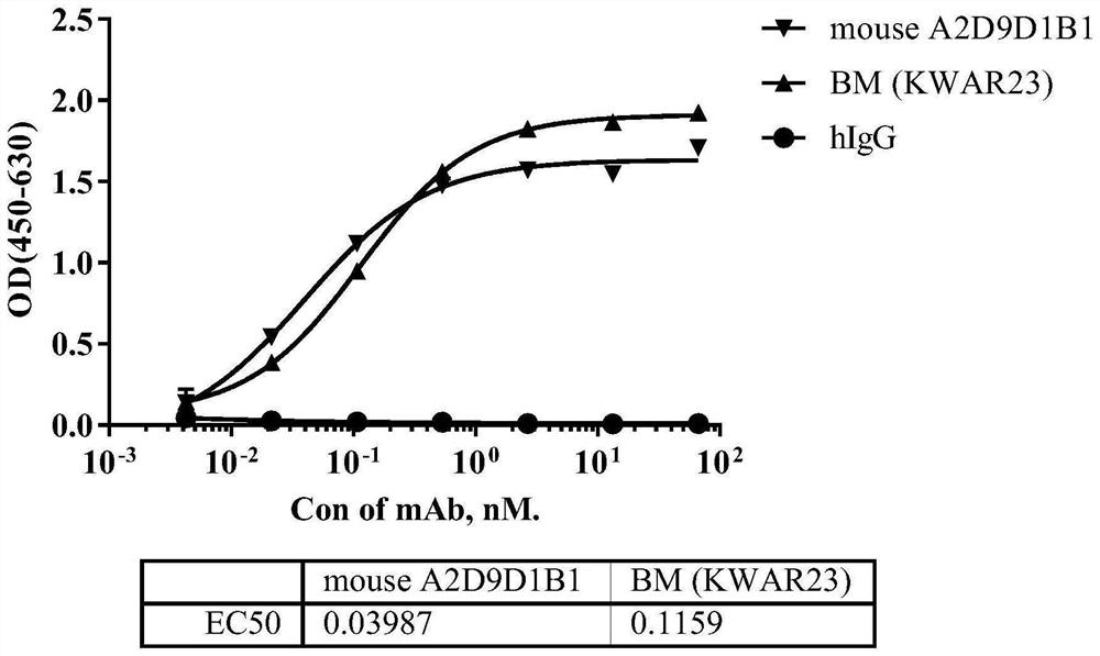 Anti-human sirpα monoclonal antibody and use thereof