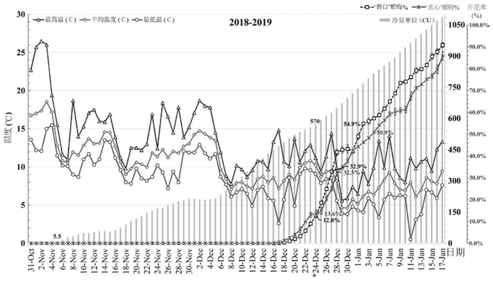 A kind of control method of wintersweet flowering period