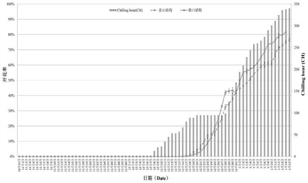 A kind of control method of wintersweet flowering period