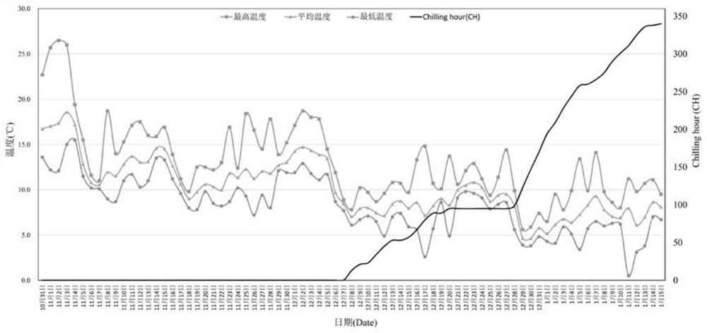 A kind of control method of wintersweet flowering period