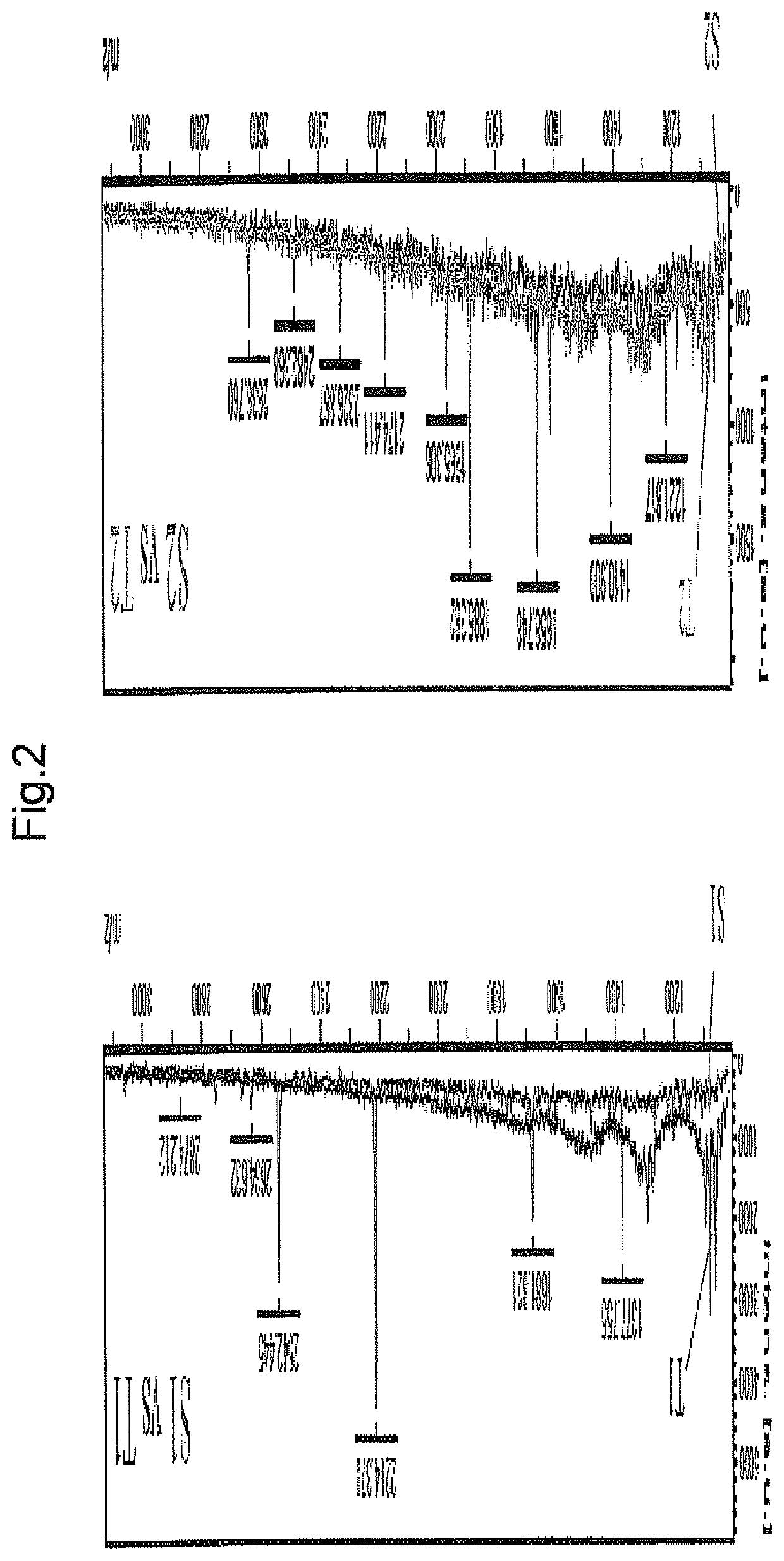 Periodontal-disease-specific peptide, and treatment and diagnosis of periodontal disease using same