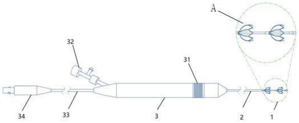 Double-ball-cage electrode catheter device for ablation of tissue in human body cavity