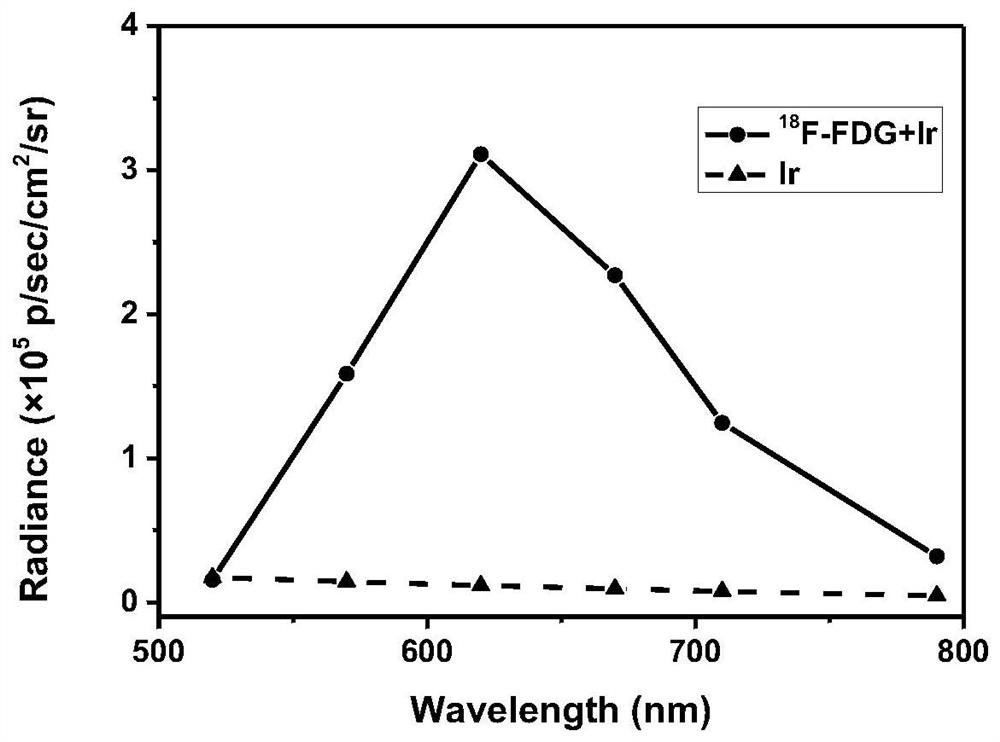 Application of a metal iridium complex nanoparticle in nuclide-excited phosphorescence imaging