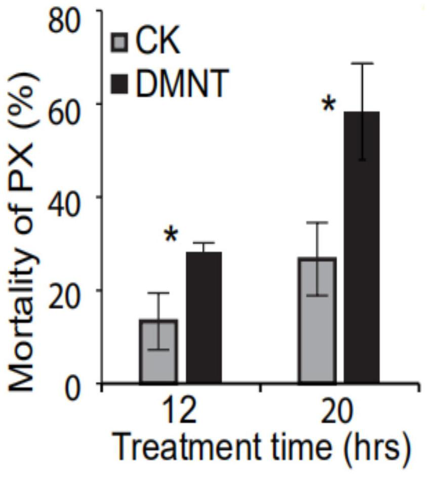 Application of dmnt in preparation of lepidopteran insecticide