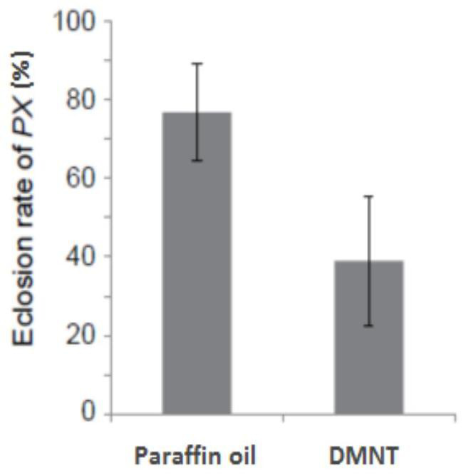 Application of dmnt in preparation of lepidopteran insecticide