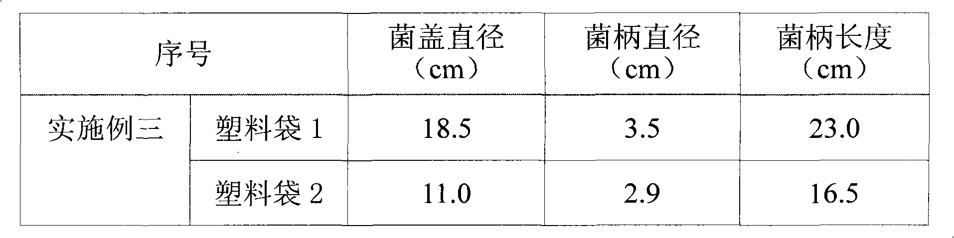 Indoor soilless cultivation method for Tricholoma lobayense Heim