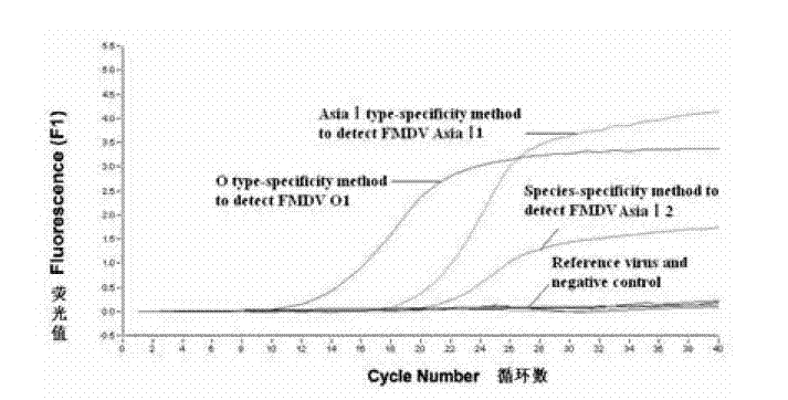 Method for detecting FMDV (Foot and Mouth Disease Virus) through real-time fluorescent quantitative RT-PCR (Reverse Transcription-Polymerase Chain Reaction)