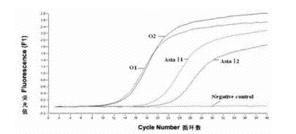 Method for detecting FMDV (Foot and Mouth Disease Virus) through real-time fluorescent quantitative RT-PCR (Reverse Transcription-Polymerase Chain Reaction)