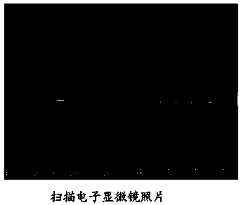 Effective method for doping nitrogen into carbon nanotips