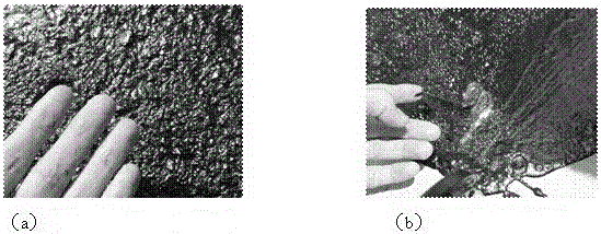 A kind of emulsified asphalt with fast setting and non-stick wheel sticky layer and its preparation method