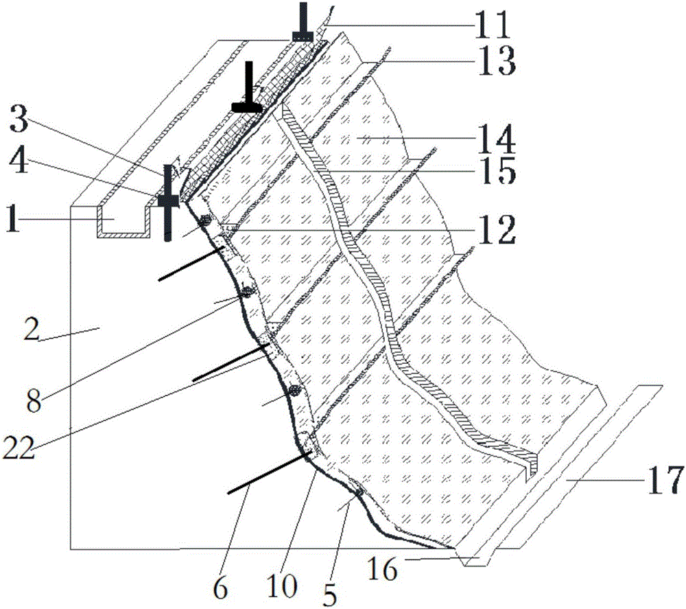 Road rock slope vine ecological protection structure and construction method