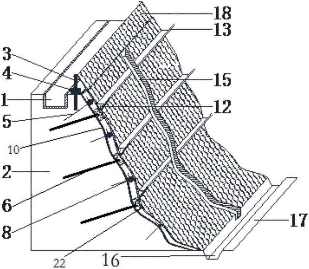 Road rock slope vine ecological protection structure and construction method