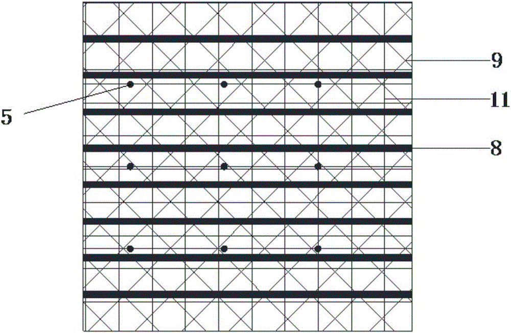 Road rock slope vine ecological protection structure and construction method