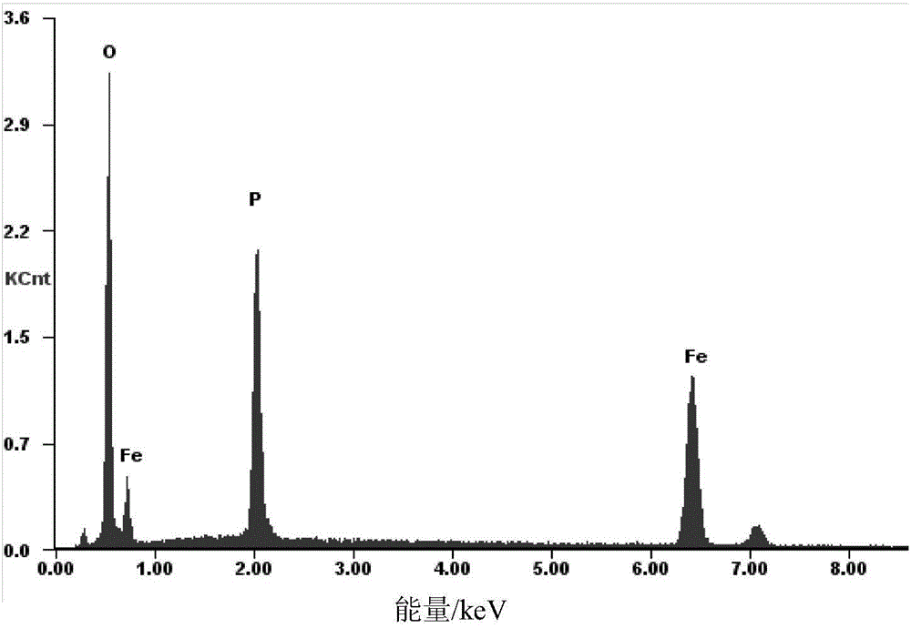 Dandelion-shaped iron phosphate microspheres and preparation method thereof through electrochemical anode oxidation