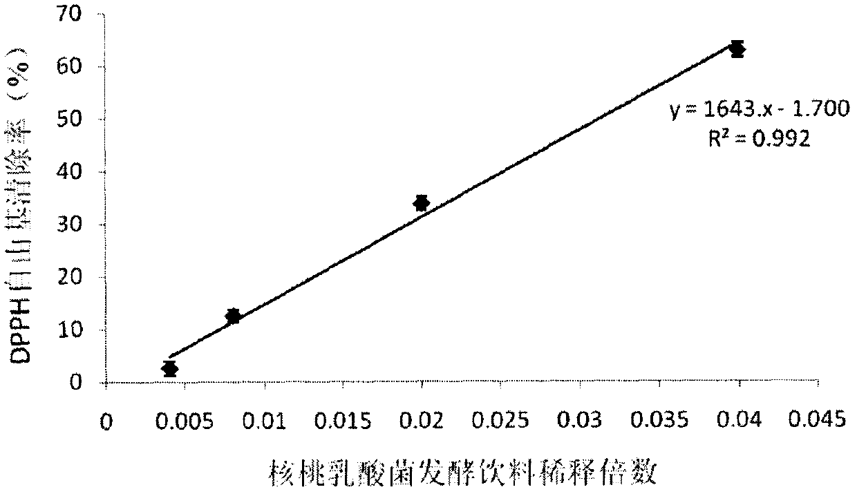 Walnut lactic acid bacteria fermented beverage and preparation method thereof