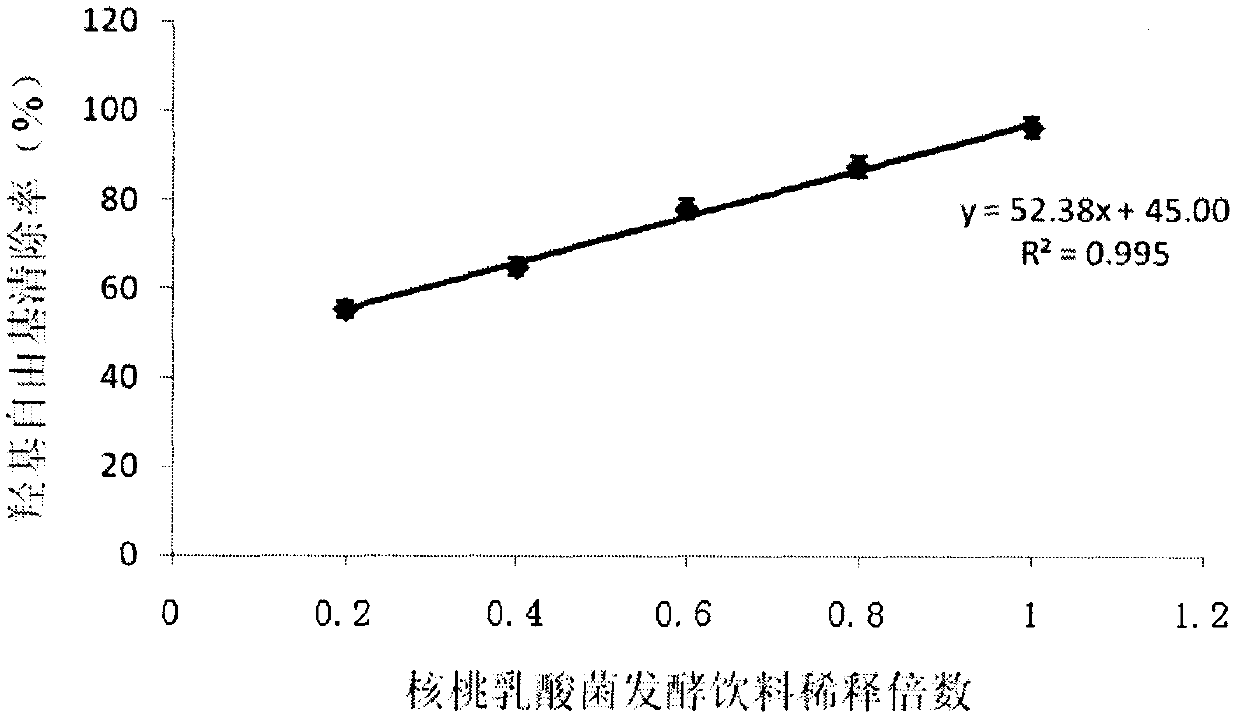 Walnut lactic acid bacteria fermented beverage and preparation method thereof