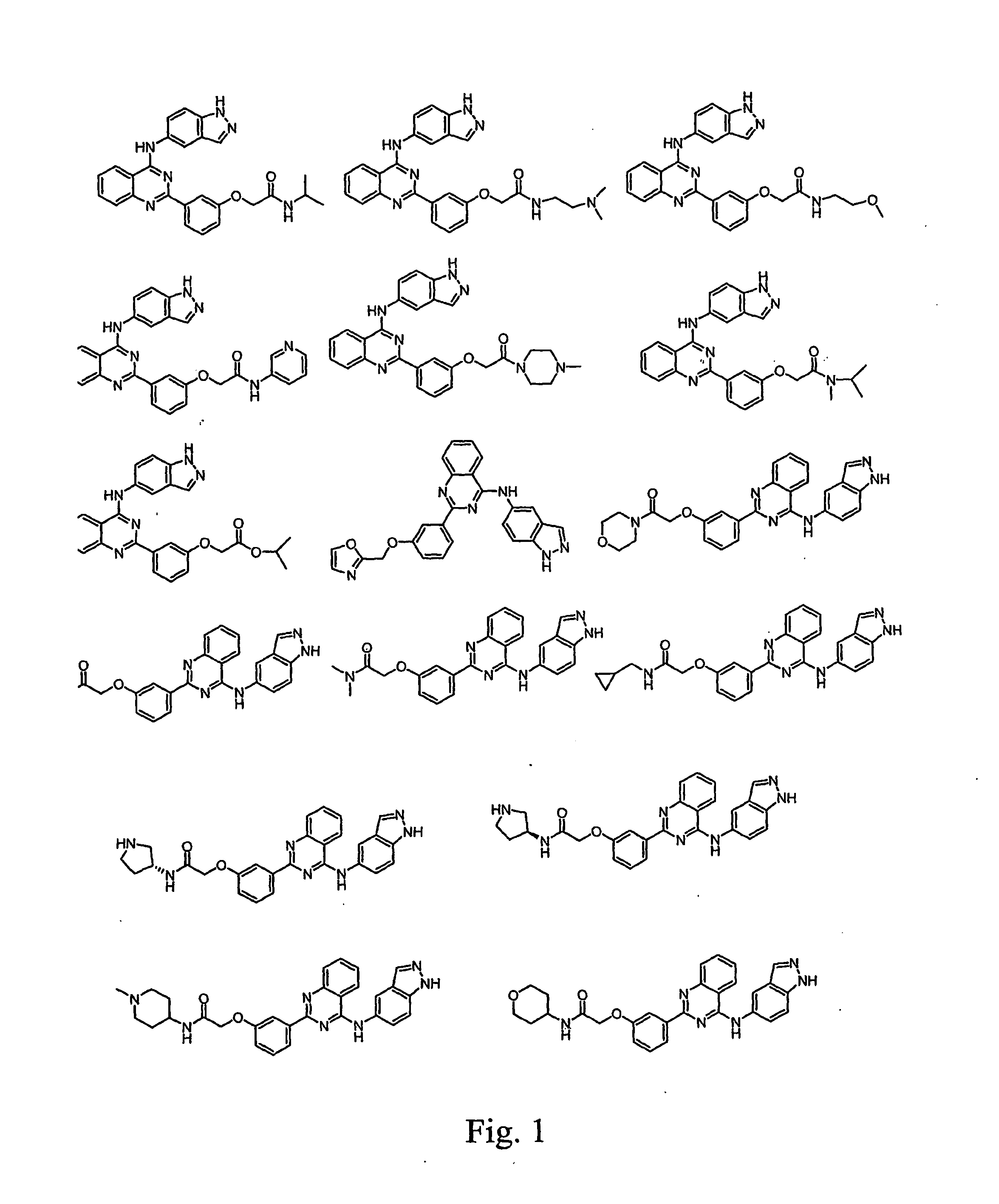 Pharmacokinetically improved compounds