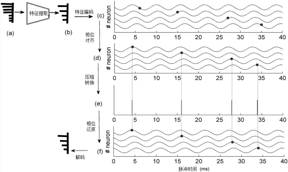 Image identification method based on Spiking neural network