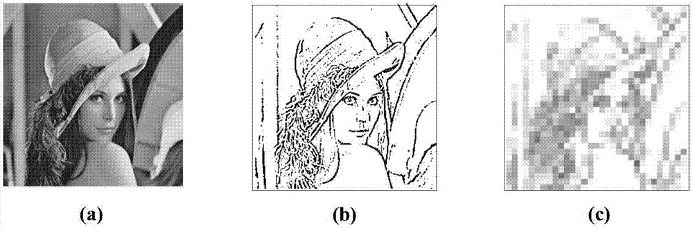 Image identification method based on Spiking neural network