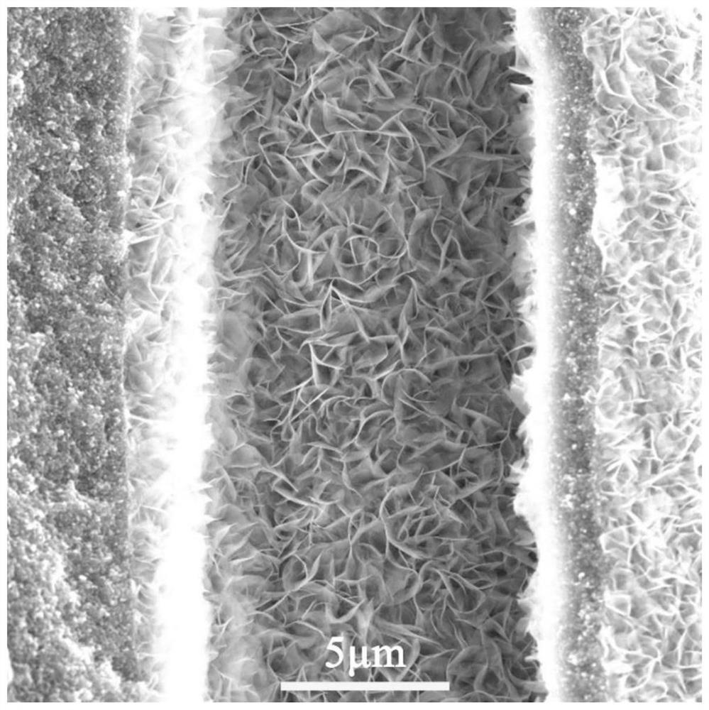 Ferro-nickel hydroxide/ferro-nickel alloy loaded wood-based electrocatalyst, preparation method thereof and water electrolysis hydrogen production catalyst