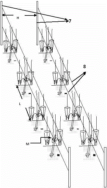 Technical approach of combining field cultivation with potted grapes