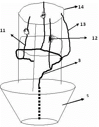 Technical approach of combining field cultivation with potted grapes