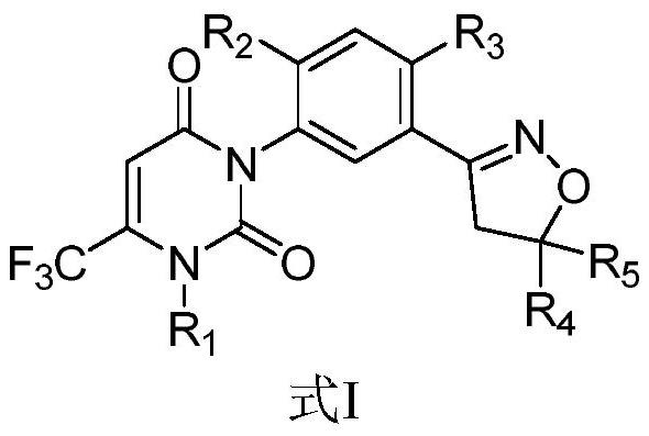 A kind of herbicidal composition and its application