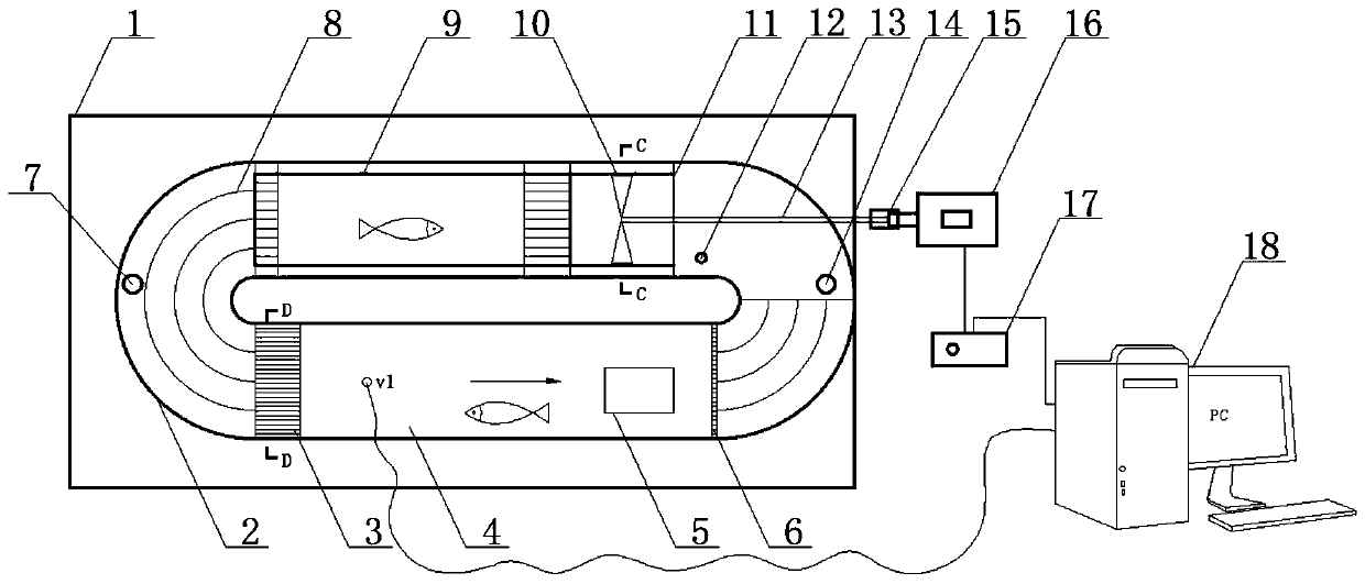 Fish swimming capability testing device and method