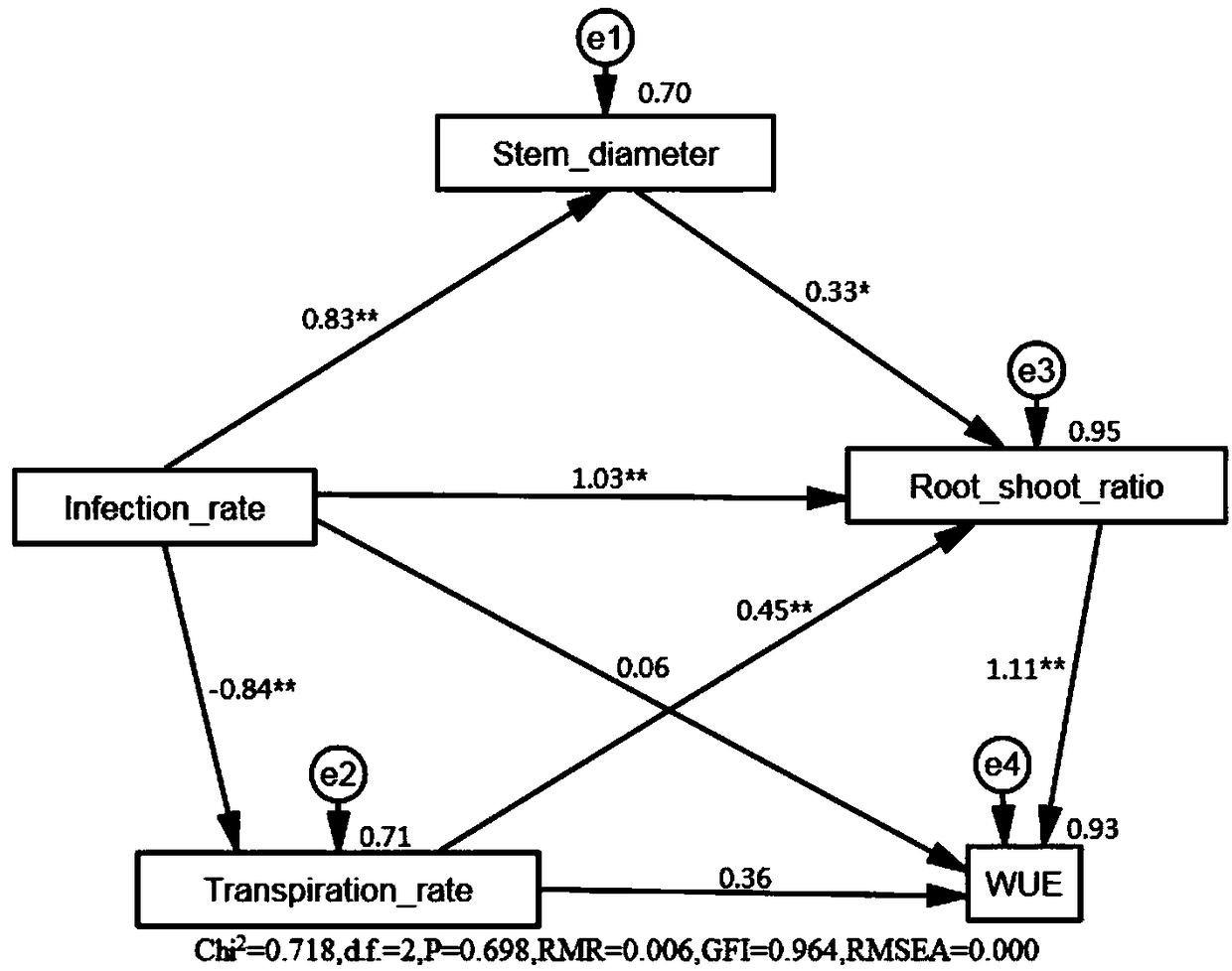 Method for analyzing influences of arbuscular mycorrhizal fungi on plant moisture utilization efficiency