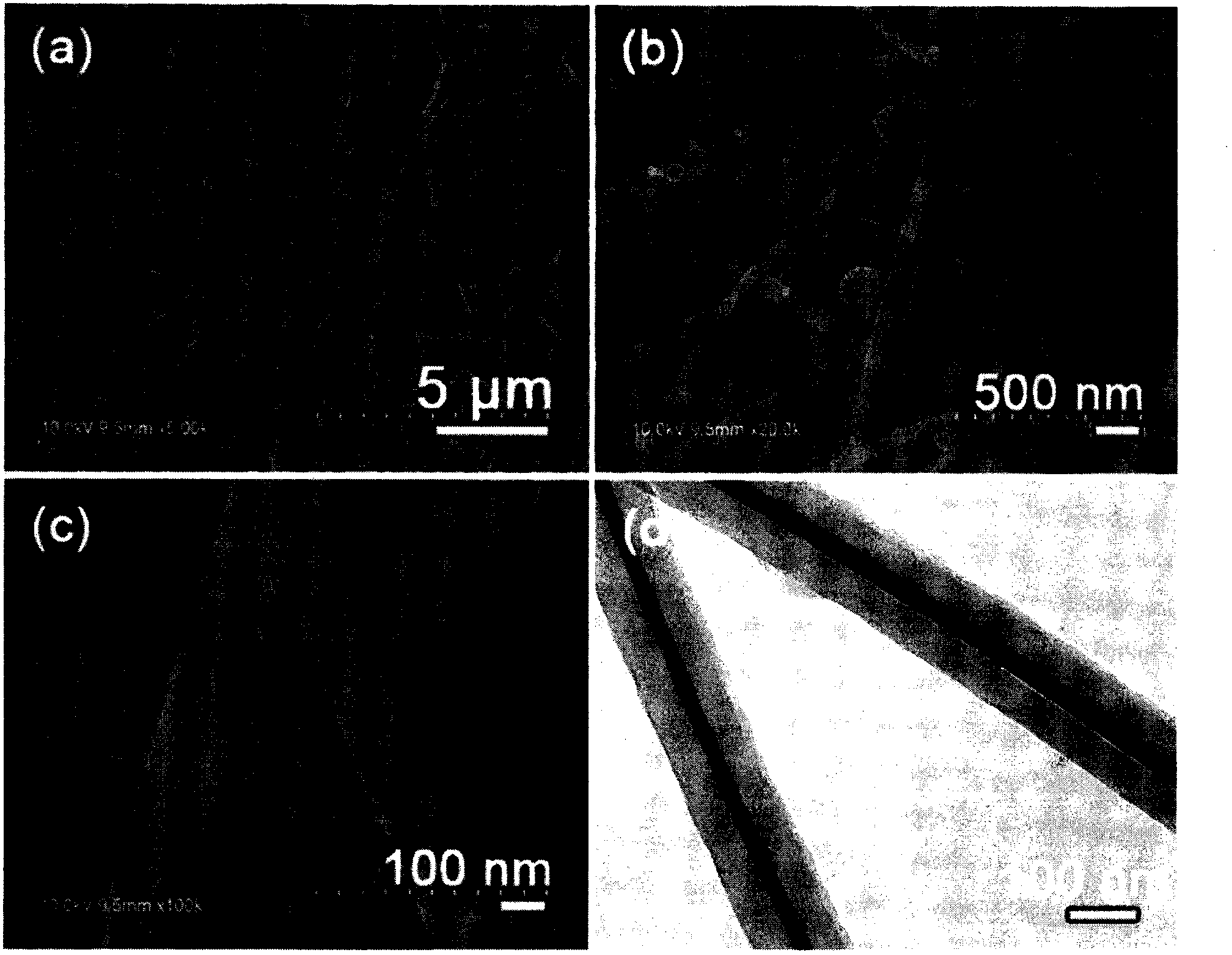 Method for manufacturing Ag/C nano interconnecting wire in coaxial-cable structure