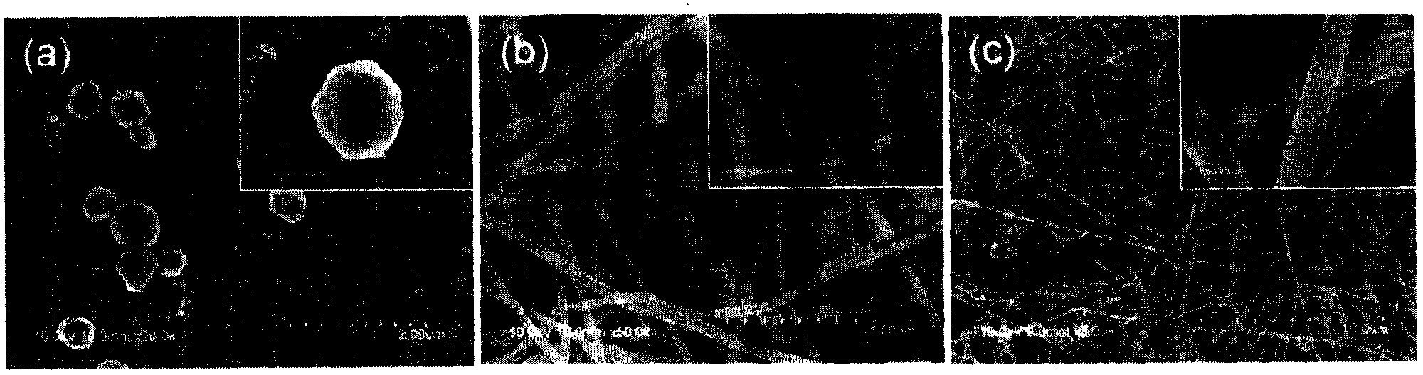 Method for manufacturing Ag/C nano interconnecting wire in coaxial-cable structure