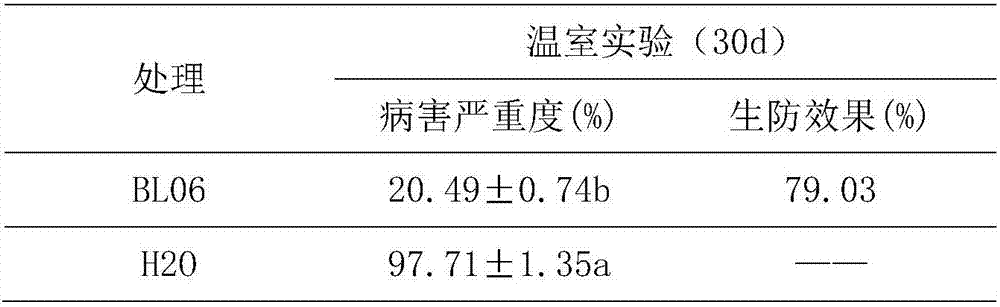 Bacillus licheniformis strain BL06 and application thereof