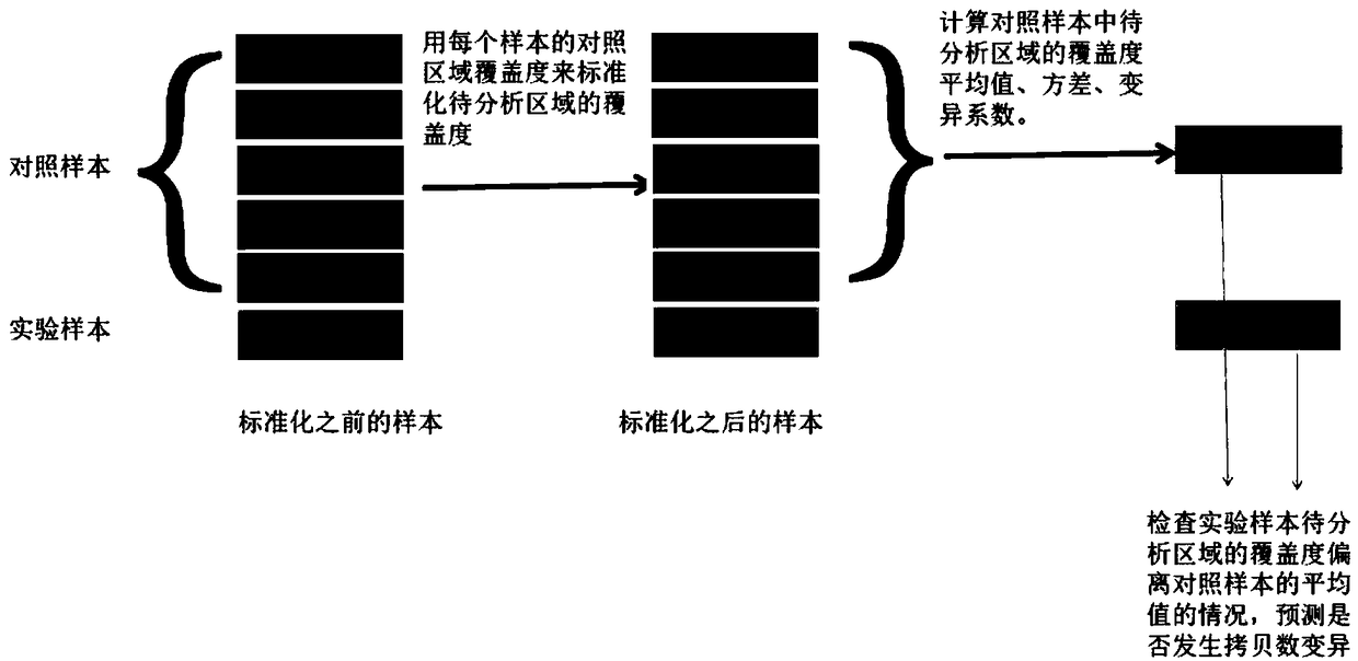 Single exon copy number variation predicting method based on target area sequencing