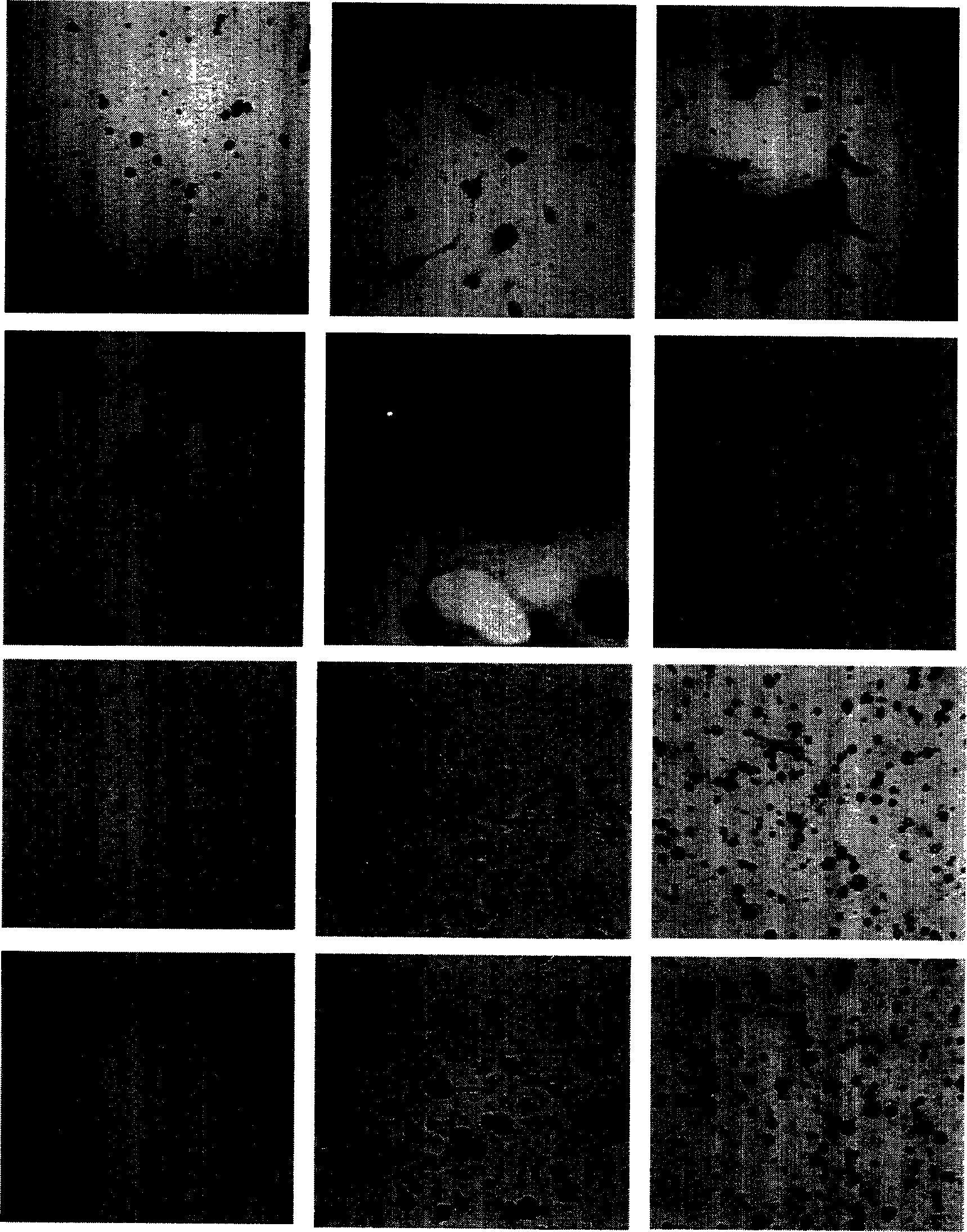 Separation and purification method for spongy archaecyte