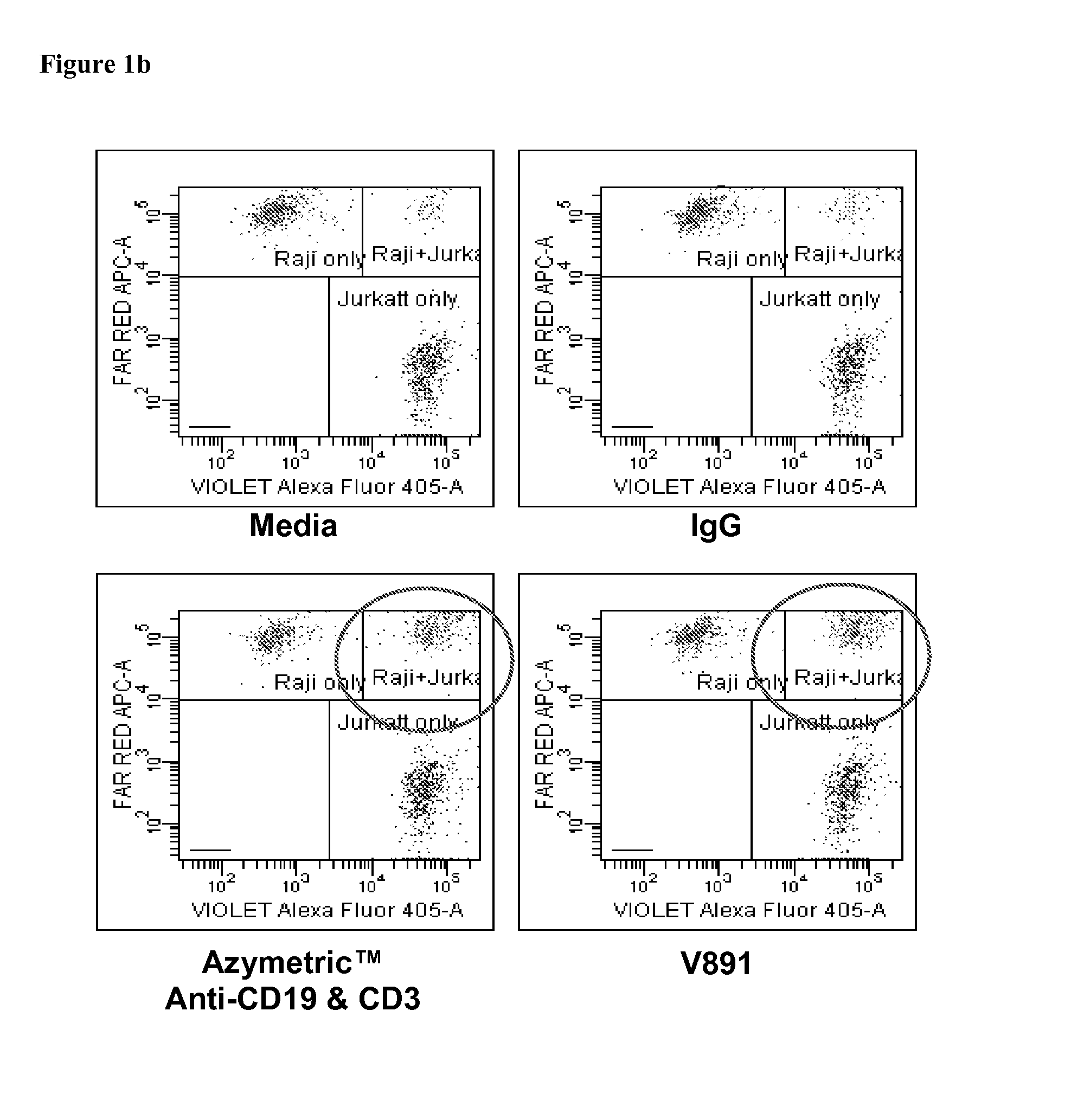 Bispecific Asymmetric Heterodimers Comprising Anti-CD3 Constructs