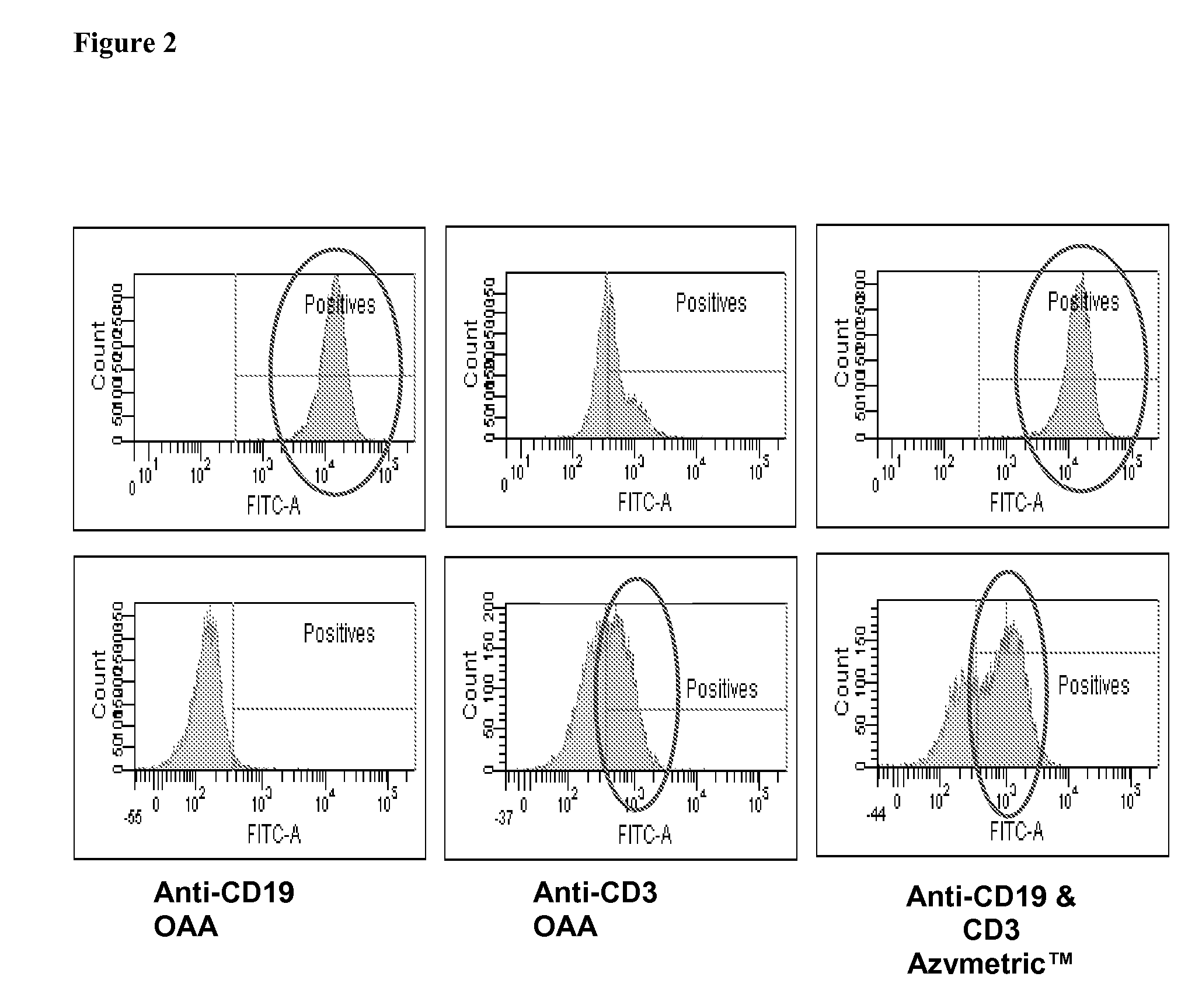 Bispecific Asymmetric Heterodimers Comprising Anti-CD3 Constructs