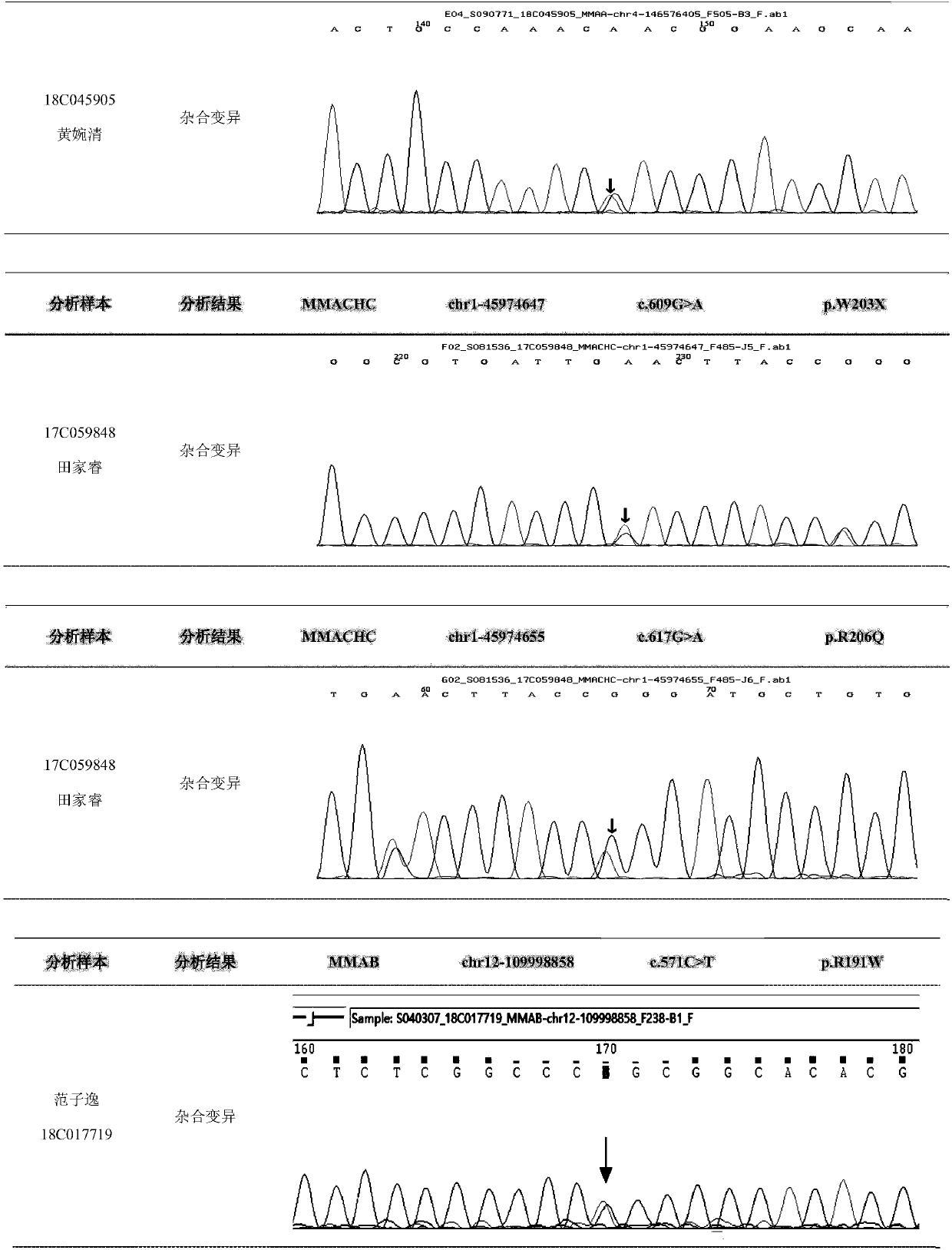 Probe group and kit for detecting methylmalonic academia related pathogenic genes