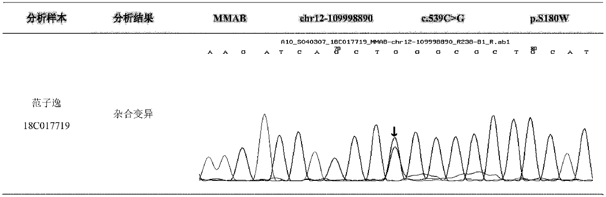 Probe group and kit for detecting methylmalonic academia related pathogenic genes