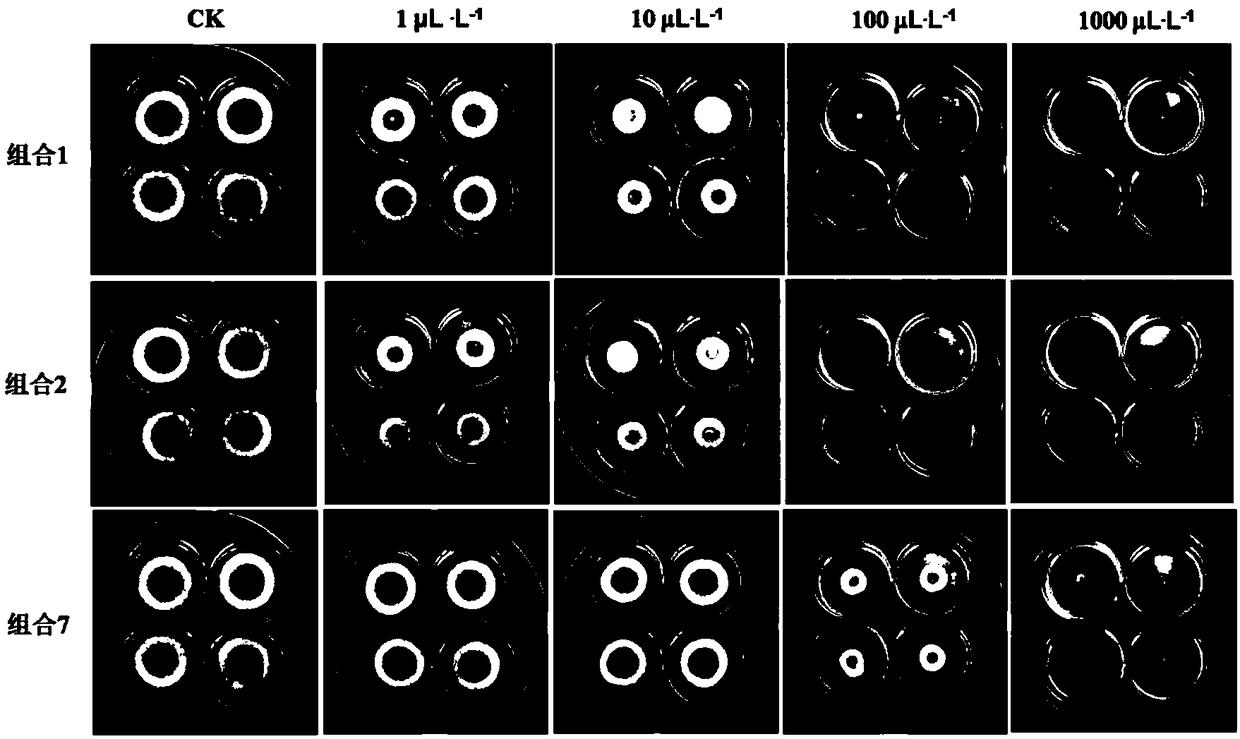 Combined volatile compound and application thereof in preventing and treating anthracnose of postharvest mangos